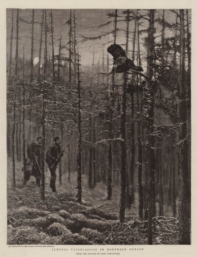 Springende auerhoen in Noord-Europa door Joseph Chelmonski